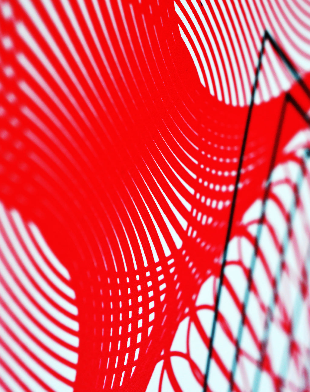 Elastic Triangulation 1