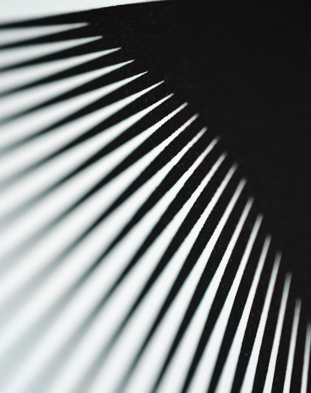 Elastic Triangulation 1