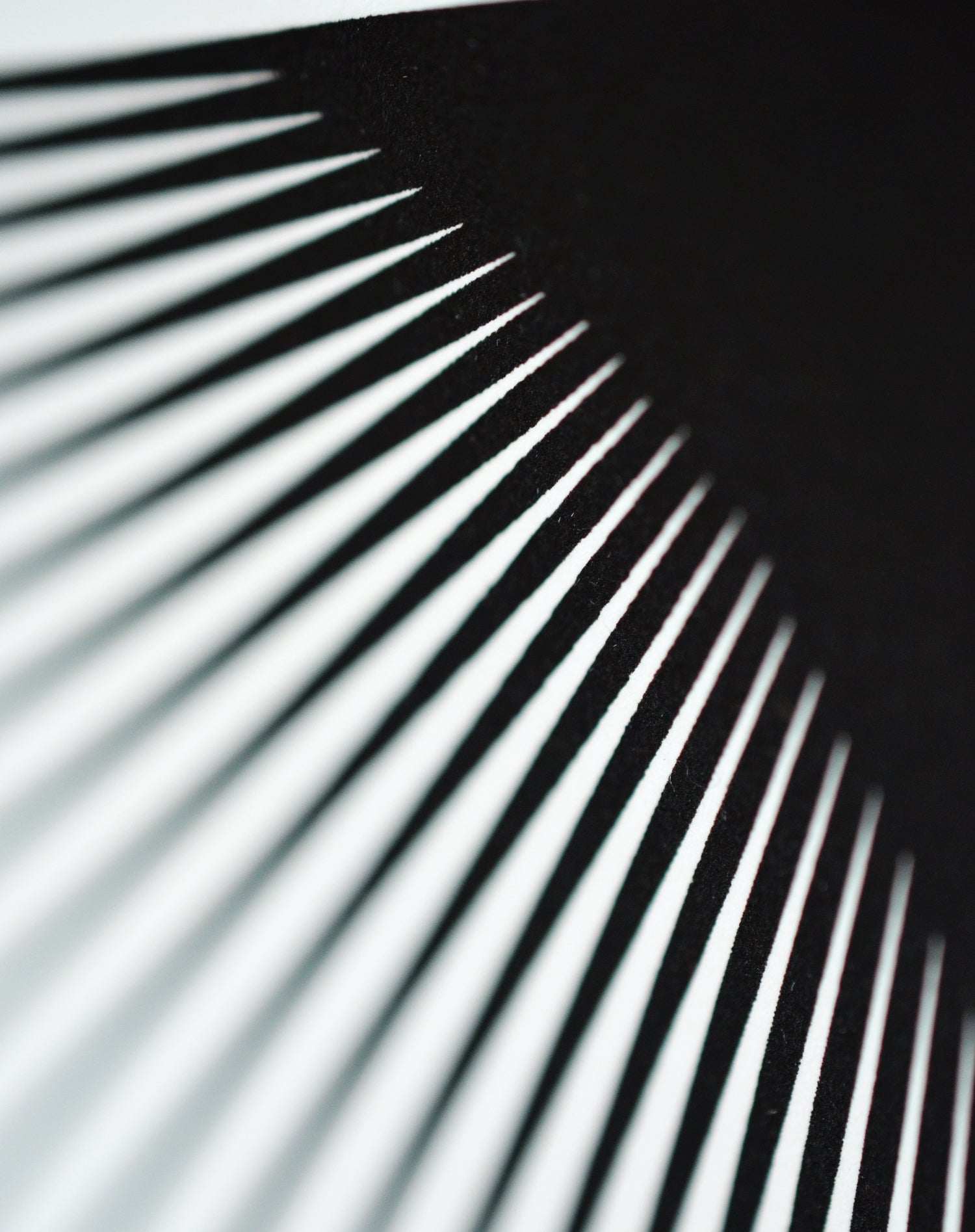 Elastic Triangulation 1